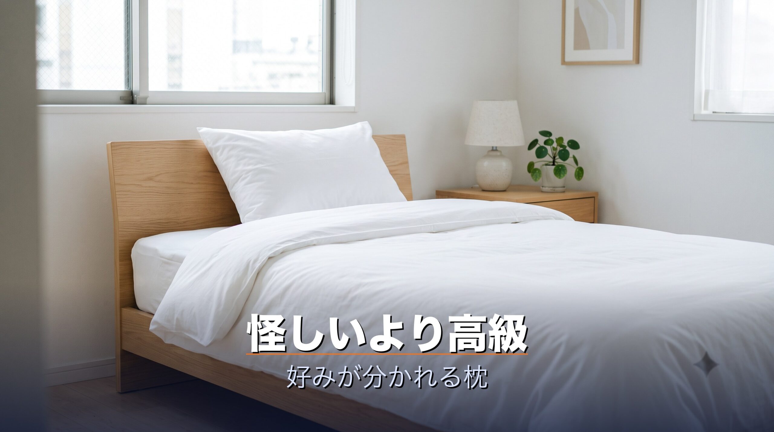 ブレインスリープは怪しいというより高級で好みが分かれる枕だとまとめるイメージ